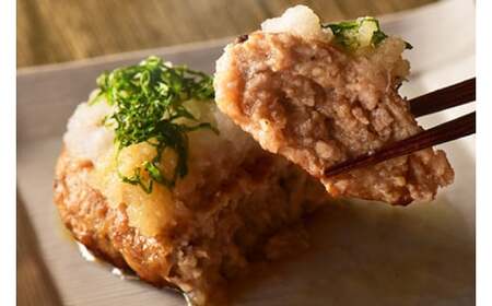 石垣牛＆あぐーハンバーグセット （AG011-1）