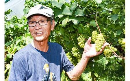 白ワイン キングセルビー シャルドネ 辛口 2本セット（720ml×2本） KING SELBY　018-E-MM045