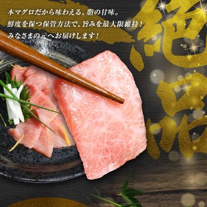 本マグロ 本鮪 大トロ200g マグロ まぐろ 本まぐろ マグロ刺身 刺身 刺し身 魚 海鮮 冷凍 美味しい おいしい 故郷納税 ふるさとのうぜい 返礼品 高知県 高知【株式会社大熊】 [BQAA040]