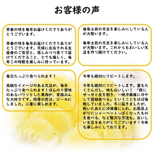 【先行予約】生産者直送 土佐文旦 約9.5kg [2L〜4L] 家庭用 ＜2027年1月下旬より発送＞ 家庭用 文旦 柑橘 みかん フルーツ 果物  産地直送 お取り寄せ 人気 【土佐文旦産直協同組合】