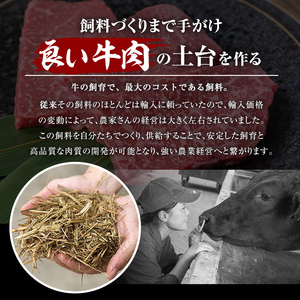 鹿児島県産 黒毛和牛 (4～5等級)ヒレ ステーキ 2種盛り(合計480g・240g×2パック) 牛肉 赤身 国産【LRプラスK】A231-v01