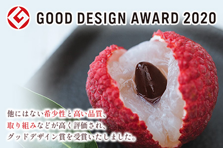 ［2026年発送］先行予約 希少！国産＜新富ライチ＞40g前後×10玉 国産 ブランド フルーツ 果物 贈答品【B120-26】