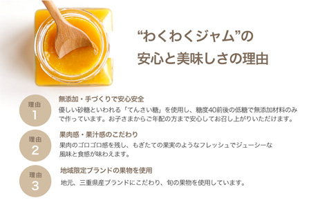  わくわくジャム 定期便 果実 ジャム 季節のフルーツ 無添加 瓶 ビン 詰め合わせ 毎月 おすすめ 手作り てづくり 国産 三重県産 ソース パン ステーキ お肉 甘い こだわり 旬 季節 限定 Y1