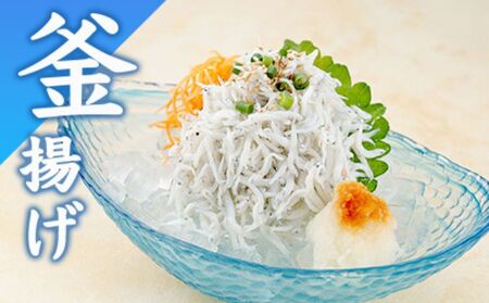 江の島名物釜揚げしらす 480g （120g×4）【 とびっちょしらす 】