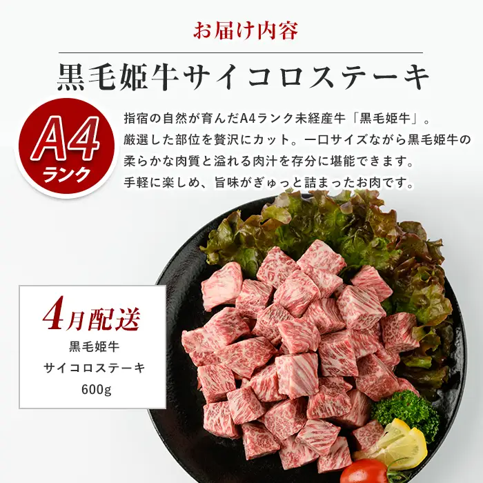 全5回定期便 大満足 ステーキ三昧 定期便 Meat you IBZ029-001 牛肉
