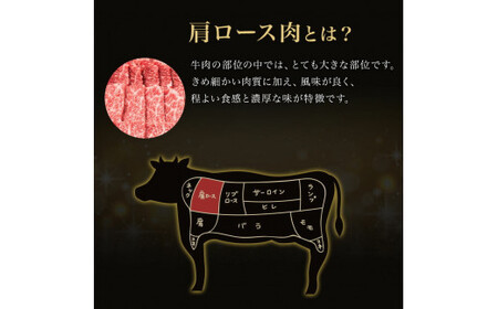「肉の芸術品」飛騨牛肩ロース肉焼き肉用 400g F4N-0611
