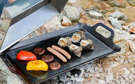 厚板鉄板IIF型 F4N-2347