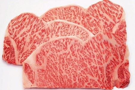【京丹波・丹波牛】 A5ランク サーロインステーキ 200g×3枚 【2026年1月中旬以降発送】  [050IZ001]