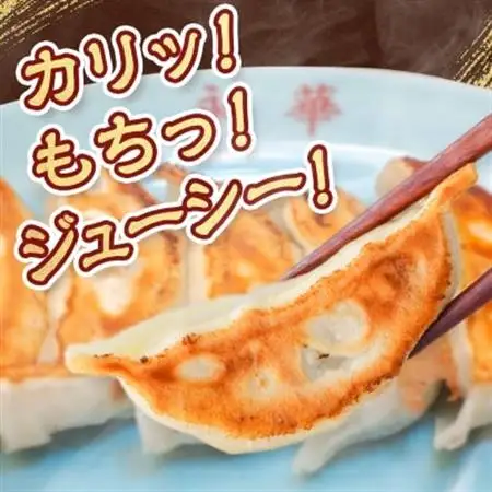 【佐野餃子(中)野菜餃子(1個27g)24個4人前】×2袋 【離島・沖縄県不可】_餃子 ぎょうざ 佐野餃子 野菜餃子 栃木県 佐野 おつまみ おかず 人気 おすすめ 送料無料 贈答 ギフト 冷凍_【配送不可地域：離島・沖縄県】【1104104】