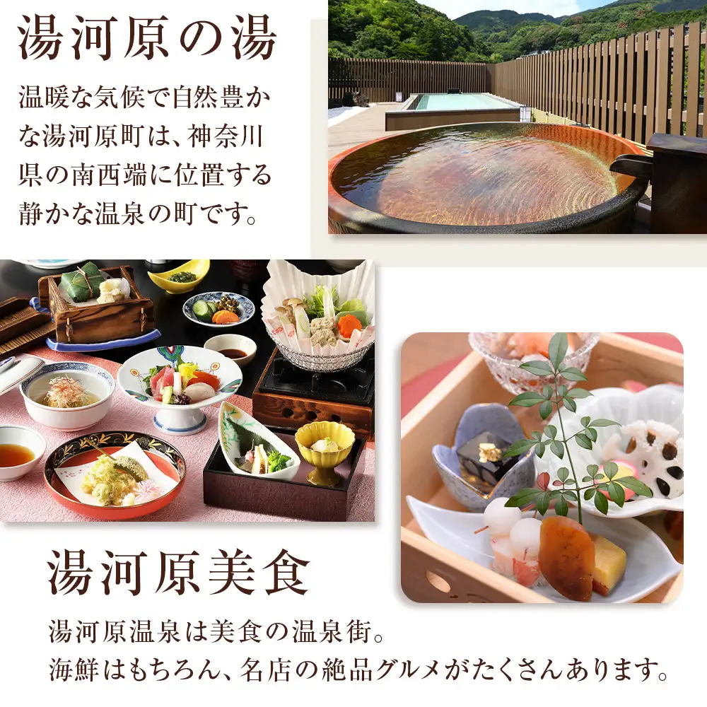 湯河原温泉・宿泊ギフト券（9,000円分） 宿泊