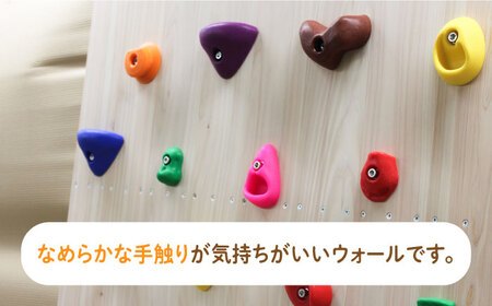 京築ヒノキ の ボルダリング ウォール ( 屋内用 ) [ABAI030] 