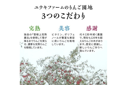  ユウキファーム 超完熟 りんごジュース 500ml × 1本