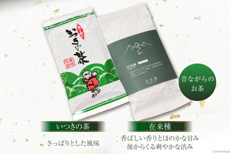 お茶 いつきの茶・在来種セット [松井製茶工場 熊本県 五木村 51120288]