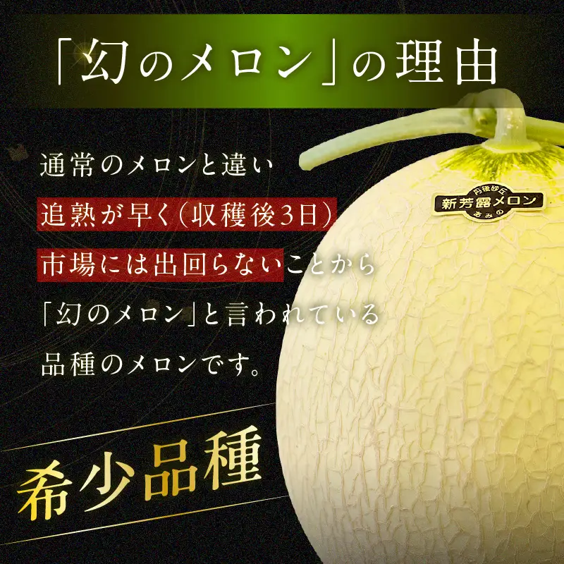 幻のメロン 新芳露 1玉 京丹後産メロン
