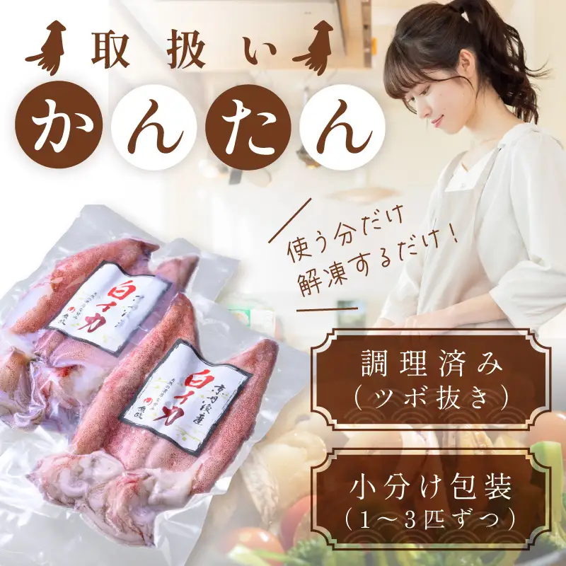 【先行予約】白イカケンサキ正味1.5kg しろいか