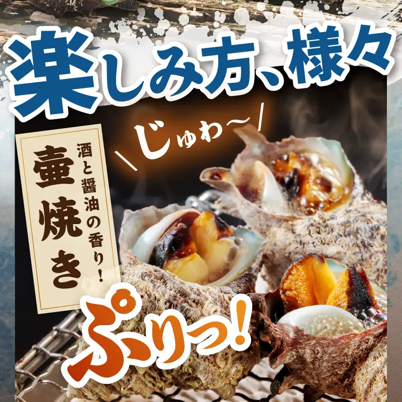 京丹後産さざえ1kg！活けサザエ