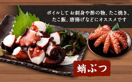 大阪産 泉タコ（生たこ）650g（1杯～3杯）と 茎わかめ佃煮 180g セット 魚介類 海鮮 タコ わかめ 冷凍