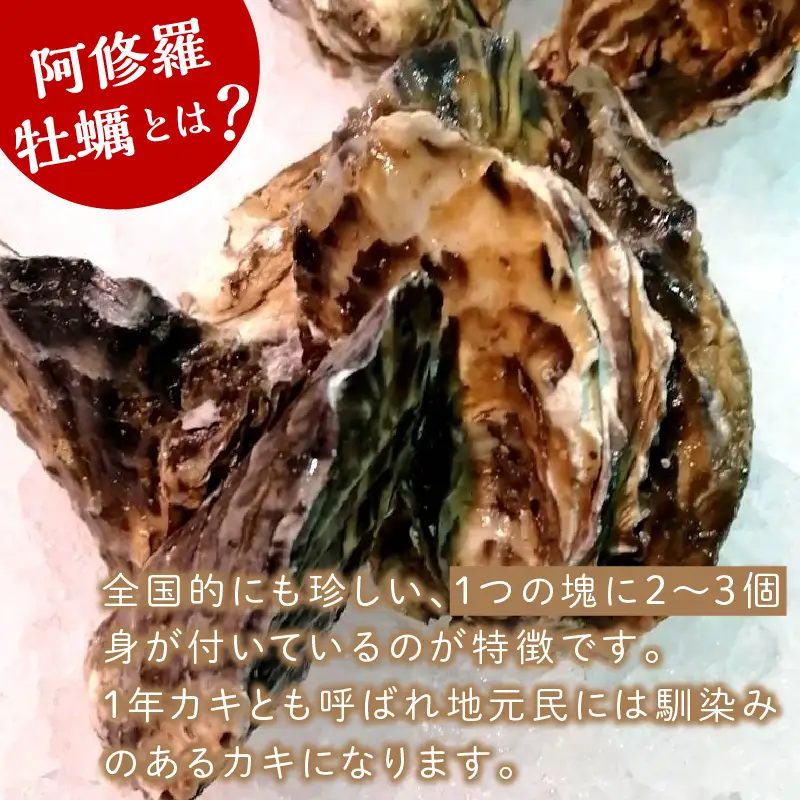 【予約：2026年10月中旬から順次発送】サロマ湖産 海のミルク 阿修羅牡蠣 3kg ( 期間限定 新鮮 生食 生ガキ カキ かき 3キロ 道産 オホーツク海産 海鮮 魚介類 貝類 生 )【031-0014-2026】