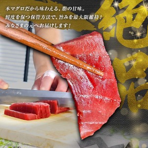 赤身 まぐろ マグロ 本鮪 本まぐろ 600g あかみ 本マグロ maguro 刺身 刺し身 柵 ブロック 魚 海鮮 海鮮丼 海産物 海の幸 寿司 贅沢 人気 美味しい おいしい【株式会社大熊】 [BQAA037]