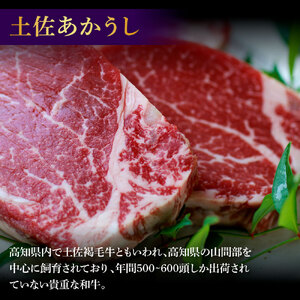 土佐和牛特選ヒレ肉400ｇ　特製ソース２種付【ステーキ用】【株式会社松尾】 [BQBL002]