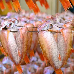 【先行予約】【海鮮の匠 魚政】のどぐろ一夜干し（ノドグロ、のど黒、アカムツ）450g級使用 3尾セット 海鮮 魚介 魚介類 のどぐろ アカムツ 一夜干し 450g 3尾 セット やわらかい 冷凍 日本海産 天然塩 干物 脂のり 焼き魚 高級魚 干もの 凝縮 塩焼き 煮付け 日本海 京都 個包装 魚政 送料無料