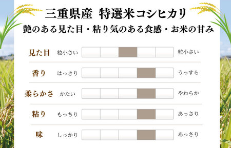 7年度産米 コシヒカリ【20kg】お米 MK16