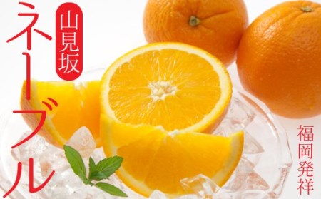 FF003.福岡柑橘王国！柑橘定期便Aセット