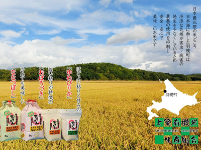 【2025年産】 北海道羽幌産 特別栽培米 おぼろづき5kg【0811802】