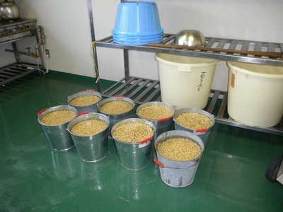 小淵沢味噌「米糀味噌」「甲州調合味噌」２点おためしセット(400g×2) [h105]