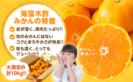 訳あり 数量限定 海藻木酢みかん 計 10kg 以上 傷み補償分入り フルーツ 果物_BBV4-25