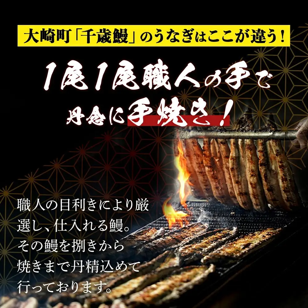 鹿児島県大隅産　千歳鰻の白焼3尾・蒲焼き3尾｜うなぎ うなぎ