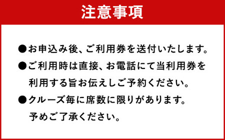 イルカウォッチング