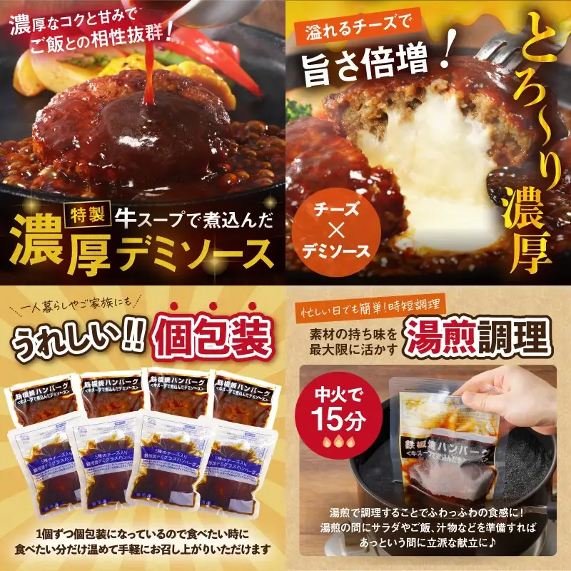 かねふく辛子明太子&デミソースのハンバーグ2種セット【3ヶ月毎定期便(計4回発送)】【F8-005】