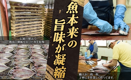 老舗干物店 干物 6種 詰合せ