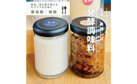 甘酒 発酵 食べる甘酒 16個 調味料 2個 セット 詰め合わせプレーン、 いちご、 ブルーベリー、 はとむぎ、 モリンガ、 ローカカオ、ビーツ、 しょう油麹 、塩麹 、冷凍 加工食品 飲む点滴 飲むスキンケア 