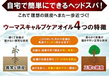 スキャルプケアオイル　3本 [福岡県 筑紫野市 20020]