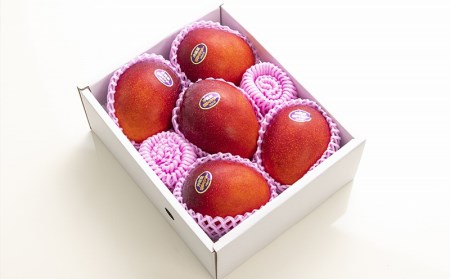 【化粧箱入】【先行受付・2026年発送】神谷ファームのマンゴー（秀）約2kg - 先行予約 沖縄県産 産地直送 南国フルーツ 旬の味覚 季節の果物 贈り物 ギフト 沖縄県 八重瀬町