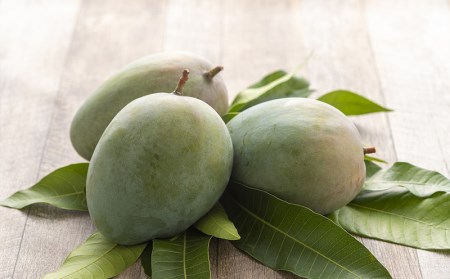 【先行受付】【2026年発送】神谷ファームのキーツマンゴー 約1.5kg - 先行予約 沖縄県産 産地直送 南国フルーツ 旬の味覚 季節の果物 希少種 贈り物 ギフト 沖縄県 八重瀬町