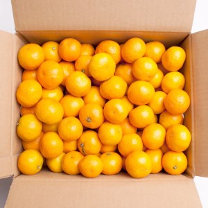 家庭用 小玉な有田みかん2.5kg+250g（傷み補償分）【わけあり・訳あり】【光センサー選果】