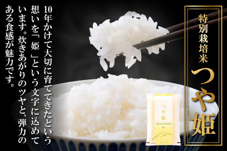〈先行予約〉新米 令和6年産 美郷町産 特別栽培米 つや姫 10kg (5kg×2袋) 【お米 10kg 5kg×2袋 精米 白米 ブランド米 つや姫 特別栽培米 美郷町産 お米 先行予約 2024年産】