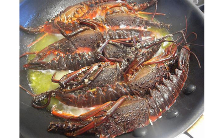 冷凍伊勢海老1kg 伊勢エビ 冷凍 漁師直送