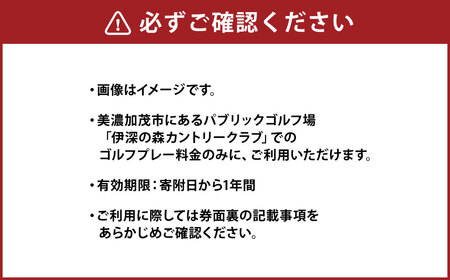 伊深の森 カントリー クラブ 利用券 1枚 3,000円分 | ゴルフ ゴルフ場 券 チケット 岐阜 岐阜県 M12S82