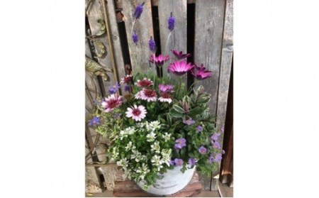 季節の 寄せ植え | フローリスト カモノ花園 おまかせ 季節 お花 花 植物 フラワー アレンジ M16S24