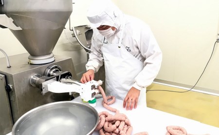 【ブランド豚・キビまる豚】ソーセージ3種セット - ３種 バラエティ 詰め合わせ セット 人気 スモーク スパイシー 沖縄 ブランド 豚 人気 おすすめ 沖縄県 八重瀬町