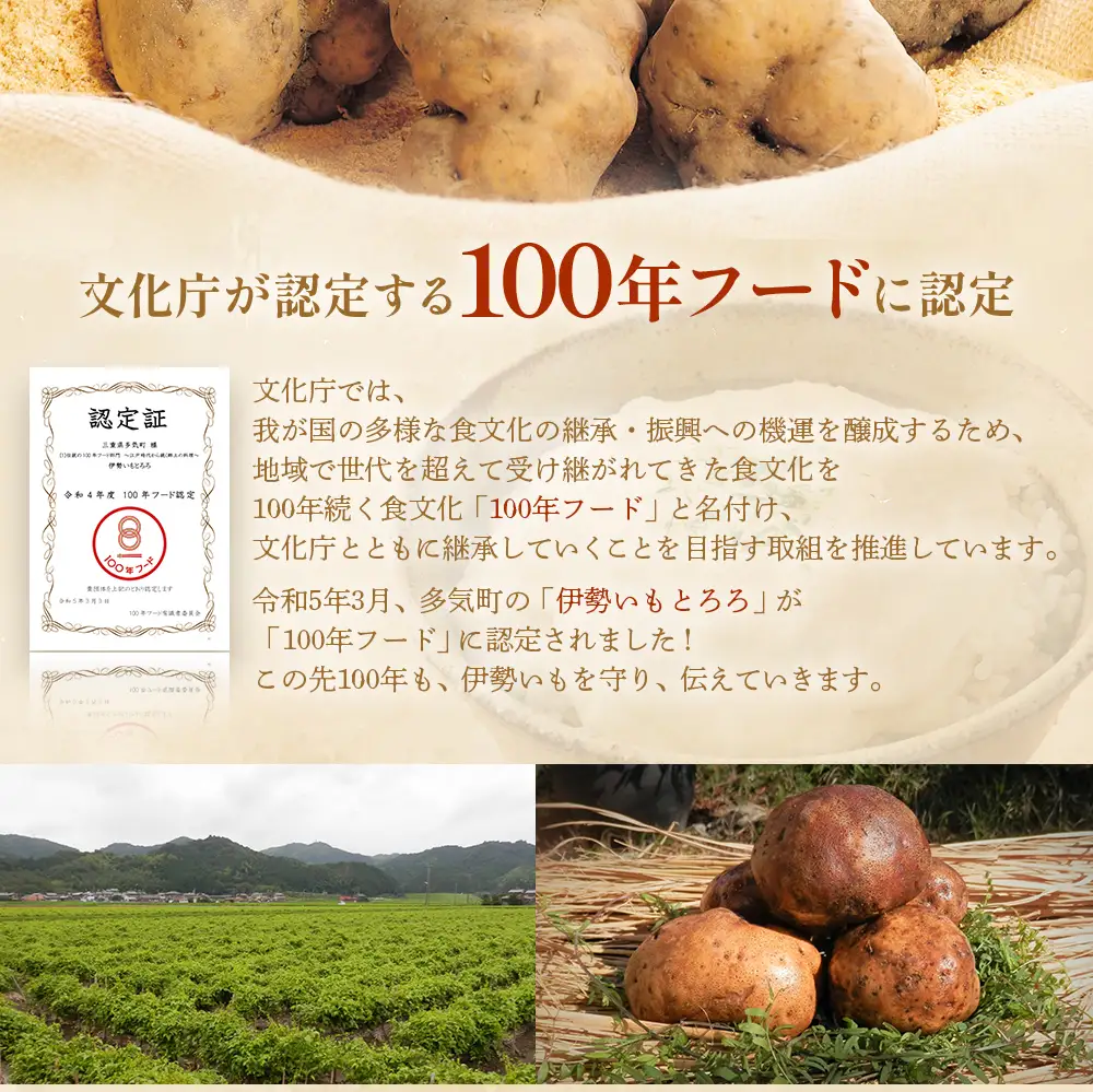 伊勢いも すりおろし 冷凍とろろ 伊勢いも 芋 イモ とろろ 伊勢芋 とろろ芋 すりおろし 野菜 農作物 お手軽 とろろ汁 ご飯 そば つけ汁 健康 稀少 名産品 簡単 便利 個包装 粘り 冷凍 三重県 多気町 HK-01