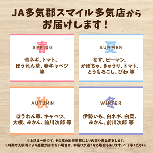 JA-04　旬の野菜と果物の詰め合わせ　人気 野菜 詰合せ 詰め合わせ セット 新鮮野菜 詰め合わせセット 野菜セット 季節の野菜 青ネギ きゅうり 伊勢いも びわ みかん 三重県 多気町 JA‐04