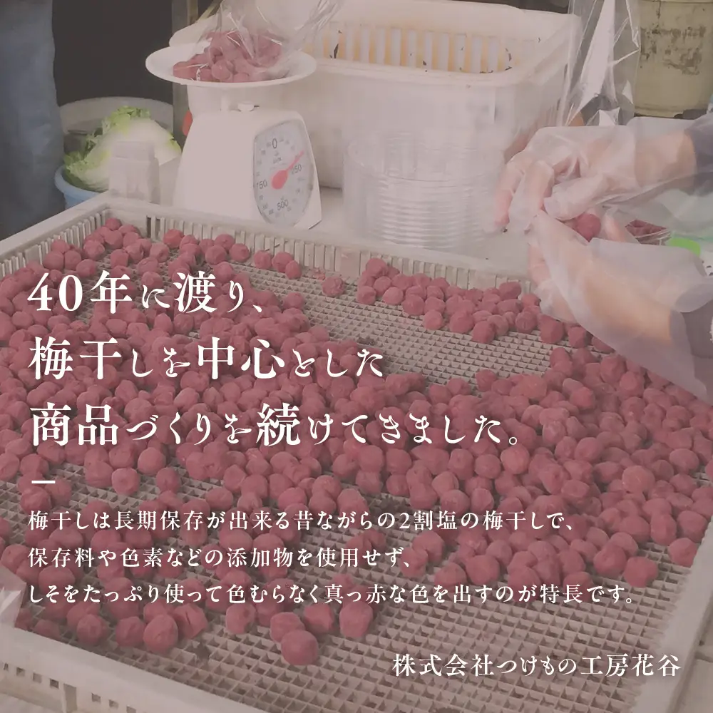 梅干しと季節の食べ物セット 無添加梅干し｜多気町産 TH-01