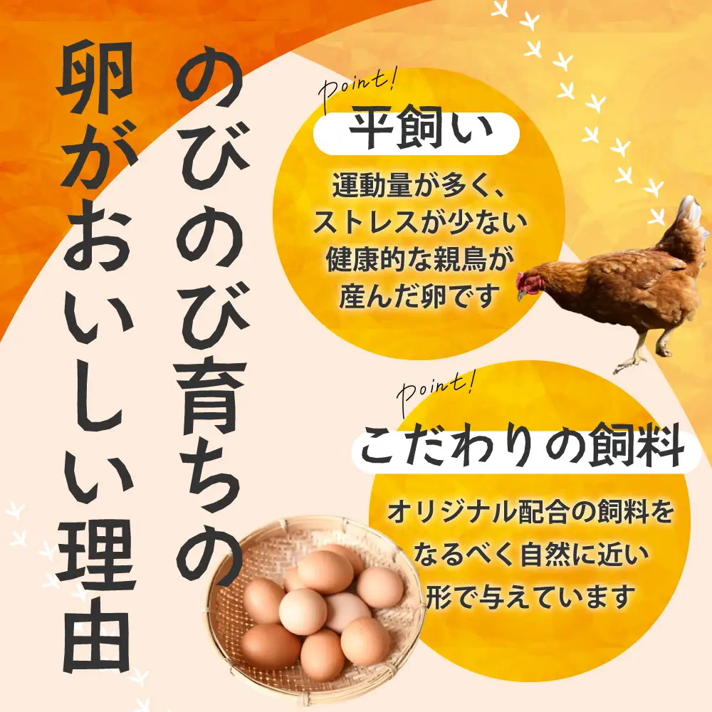 たまご屋さんのギフトセット 平飼い 有精卵