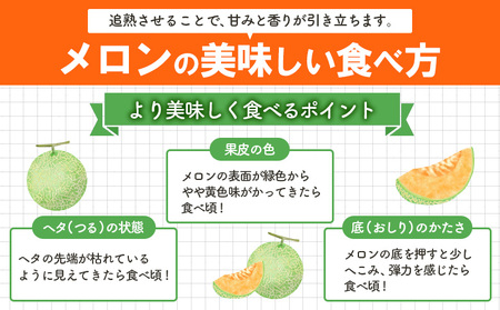 《2026年分受付中》とろける食感と甘い香り北海道三笠メロン2玉入（2.6kg以上）【0100104】