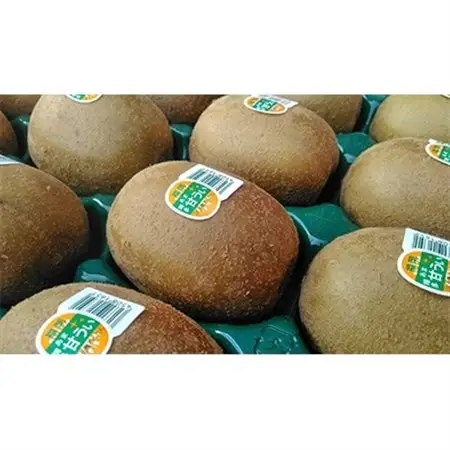 【先行受付】福岡限定!ブランドキウイ「甘うぃ(あまうぃ)」約1.5kg箱(12-15玉)(大野城市)_キウイ キウイフルーツ フルーツ 果物 くだもの ふるーつ 青果 国産 産地直送 ブランド 福岡 高糖度 送料無料_【配送不可地域：離島】【1125950】